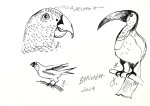 CIOCIA PELASIA 24/ Oryginał 